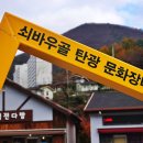 쇠바우골탄광문화장터 | 오늘(3061) - 쇠바우골탄광문화장터