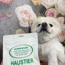 티어리베 이미지