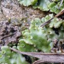 우산농장 이미지