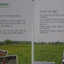 엠제이글로비즈