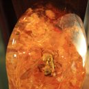 주필거미박물관 이미지