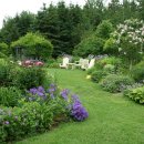 숲속의 정원 이미지