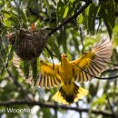 엄마밥줘 이미지