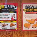 사우로 R 이미지