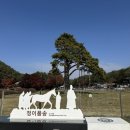 다래식당 | 보은 속리산 버섯전골 맛집‘다래식당’