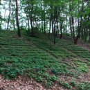 강원농장 이미지