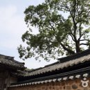 고산