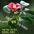 인사말 이미지 3.16(일요일) 이미지