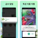 중곡3동 학습나루터 ★스마트폰 어플(앱) 활용★ | 식물이름 찾기 어플