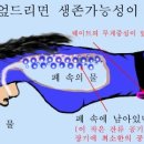 웨이트의 중심무게가 앞으로 오게하는 이유와 적정 웨이트의 결정방법 이미지