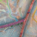 도그인 포레스트(Dog in forest) | A Look at Life in South Korea(25-1027)