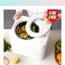 주식회사 레이나 | 초파리 지옥 탈출! 레이나 음식물처리기 DWFP2100, 67% 할인 득템 찬스?! 솔직 후기 대방출!