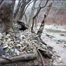 토속마을민박 이미지