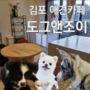 도그 앤 조이 이미지