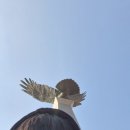 돈코복코2