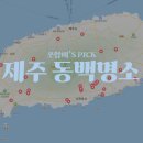 서귀포시장애인회관 | 제주 동백 명소 모음 29곳 / 지도링크 포함 (동백수목원, 동백포레스트, 휴애리, 카멜리아힐, 훈식이네...