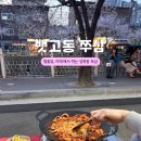 한성대입구역 성북구 야장 벚꽃 평일 저녁시간대 뱃고동 방문후기