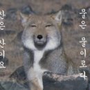 A_bly PT센터 이미지