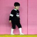 도기크루 이미지