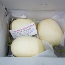 유신농장 이미지