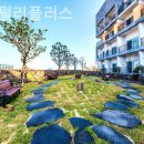 호텔펄리 이미지