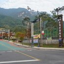월악산오토캠핑장 이미지