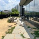 경산유치원 | [경산] 1일 애견유치원 이용 후기