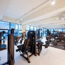 스테디 짐 이미지