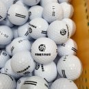 영월골프연습장 이미지