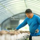 삼정농원 이미지