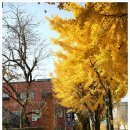 중앙장여관 이미지