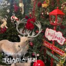 버스터미널 | [후기] 고속버스터미널 크리스마스 트리 구매 후기 주차팁