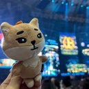 수니컴퍼니 | 매일 야근하고 싶은 회사 데이컴퍼니