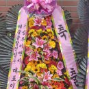 (주)성우이앤씨 이미지