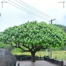 폭포펜션 이미지