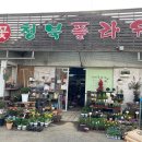 청북플라워