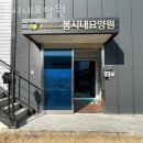 봄시내요양원 이미지