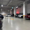 쿠우쿠우사거리 | 원주 초밥 무한리필 쿠우쿠우 무실점 주말 가격 민생지원금 할인