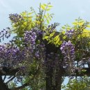 성호초등학교 이미지