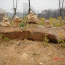 무궁화동산 화장실 이미지