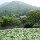 주안교회 이미지