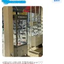 베니스안경 네이버블로그