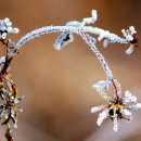 겨울에 만난 책 친구 이미지