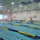 망고키즈수영장(사직점) 이미지