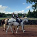 풍경목장 | 🌿 제주 가볼만한곳 동쪽 밭디 목장카페 후기 아이랑 말 먹이주기·승마체험까지 즐긴 하루