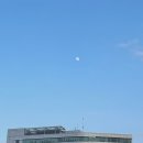 수원-0520 | 0520 조금은 아쉬운 이춘복참치_데이뚜