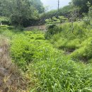 서도랑푸드 이미지