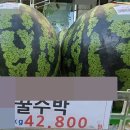 수박 1통 4만 2,800원 과일 물가, 이제는 공포 [김기자의 현장+] 이미지