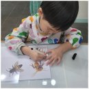 미술그리다