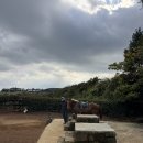 우리목장 | 제주 목장 카페 밭디 승마체험 후기
